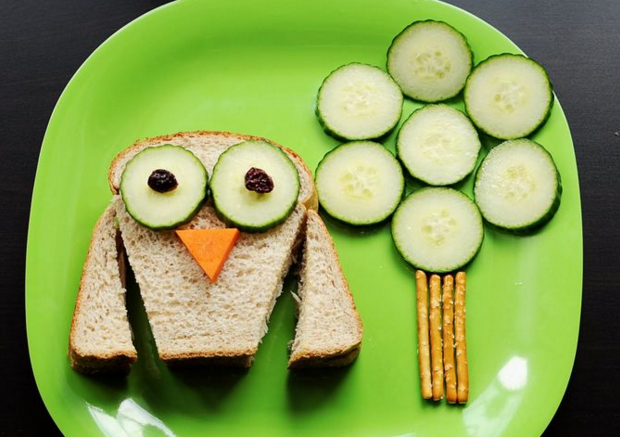 Owl Sandwich and A Cucumber Tree