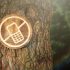 Could A Digital Detox Boost Your Health?