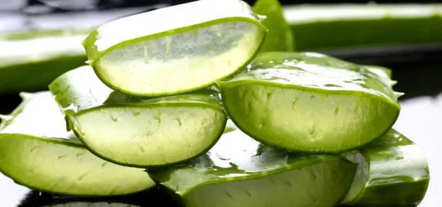 The Amazing Healing Power Of Aloe Vera