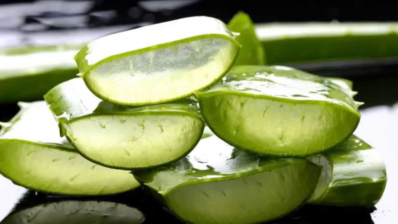 The Amazing Healing Power Of Aloe Vera