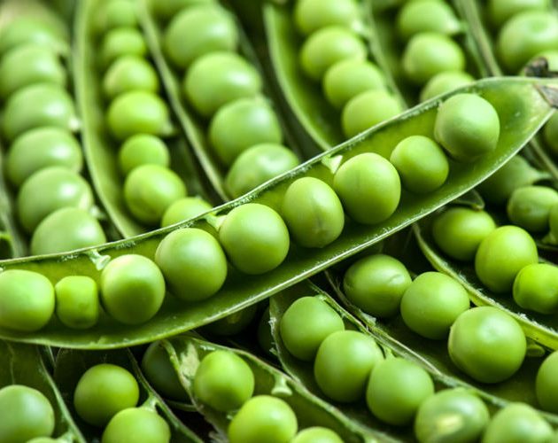 The Healthy Guide To Meat Free Protein