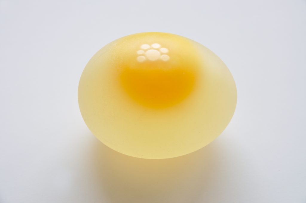 Chicken_Egg_without_Eggshell_5859