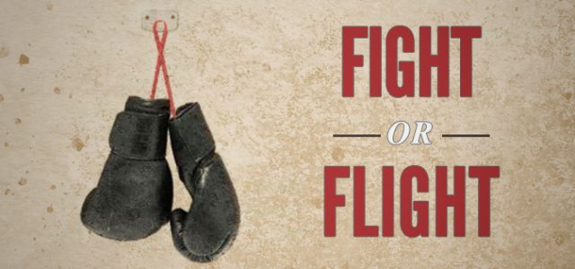 Fight or Flight?