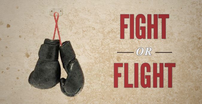 Fight or Flight?