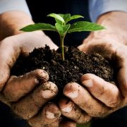 4 Reasons Gardening Completes Your Life