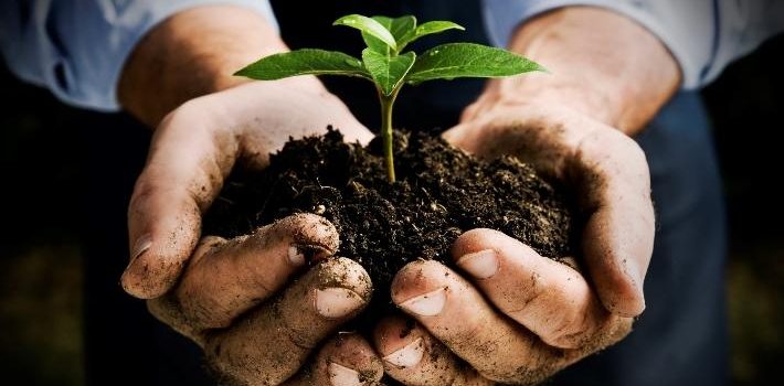4 Reasons Gardening Completes Your Life