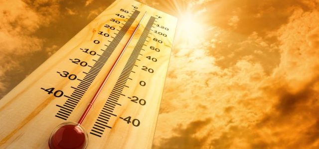 Battling Heat Stroke? Here’s What To Look For
