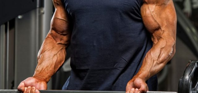 3 Ways to Maximise Your Muscle Pump