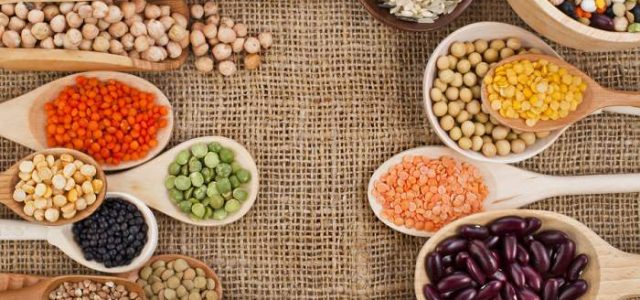 Here’s Why You Should Be Eating Plant Based Proteins