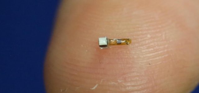 Sand-sized Wearable Could Reanimate Quadriplegics