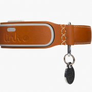 Link AKC Doggy Wearable Looks Out for Your Pup Like a Boss