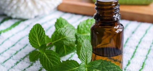 5 Essential Oils To Help You Deal With Asthma
