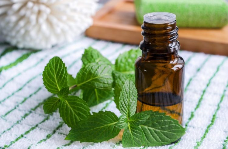 5 Essential Oils To Help You Deal With Asthma