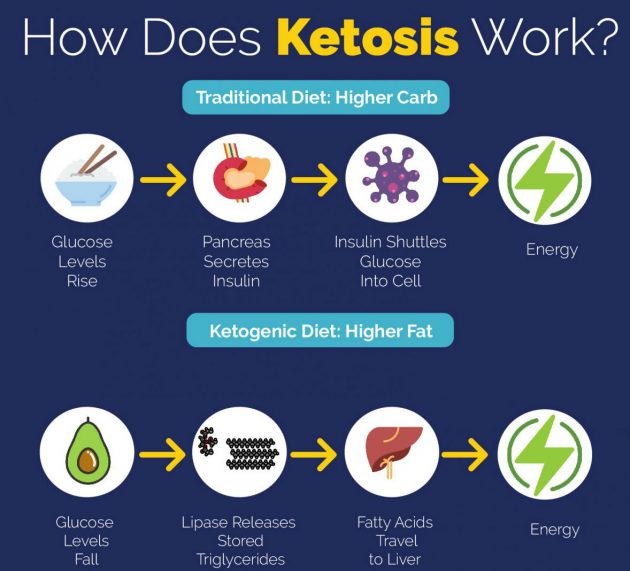 Beginner’s Guide to Keto