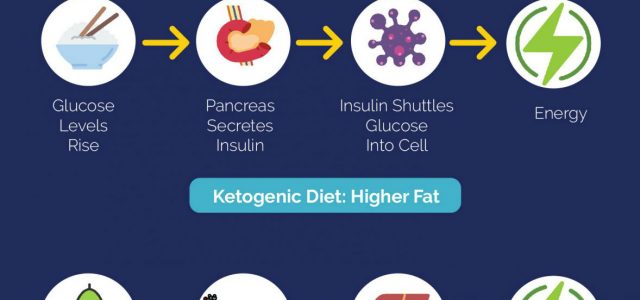 Beginner’s Guide to Keto